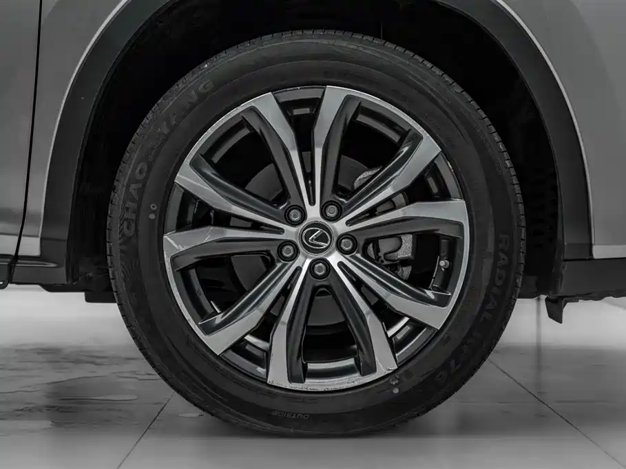Lexus RX 2021 — фото 43