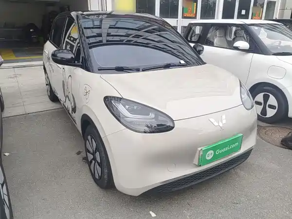 Wuling Bingo 2024