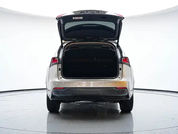 Lexus NX 2015