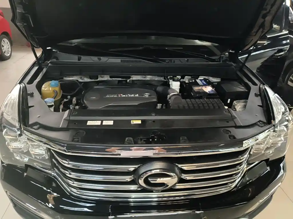 GAC Trumpchi GS8 2017 — фото 20