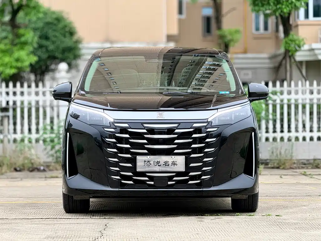 BYD Xia 2025 — фото 1