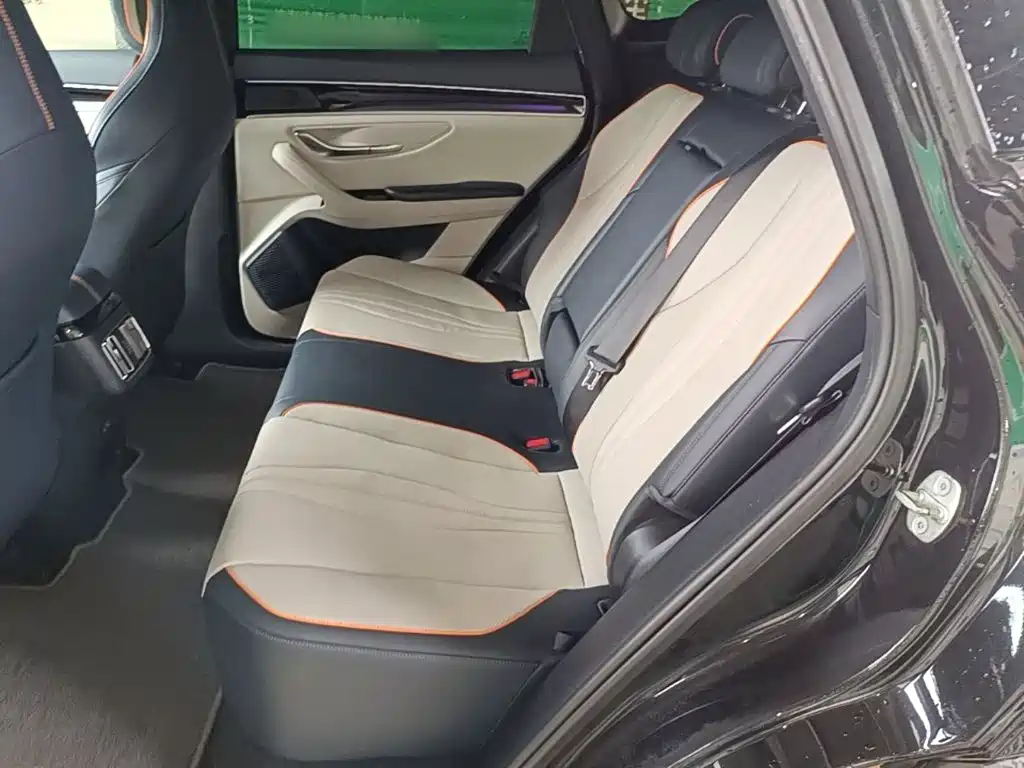 BYD Song PLUS New Energy 2023 — фото 17
