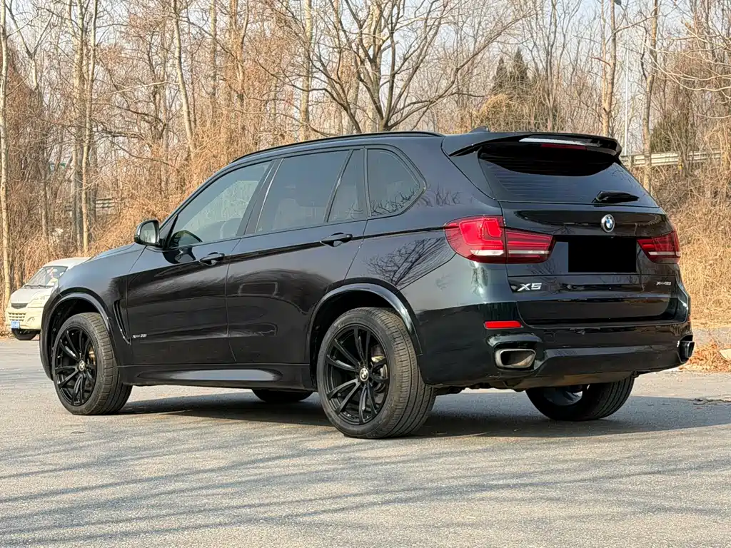 BMW X5 2016 — фото 4