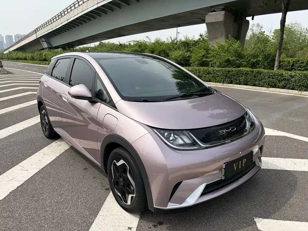 BYD Dolphin 2021