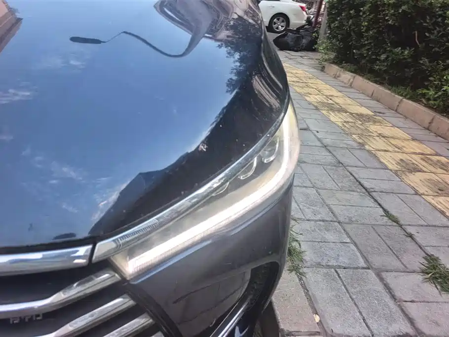 BYD MAX 2018