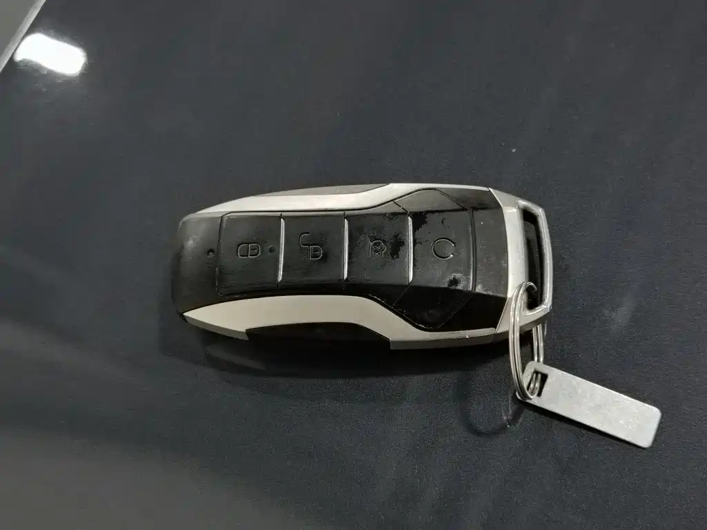 BYD Song Pro New Energy 2020 — фото 19