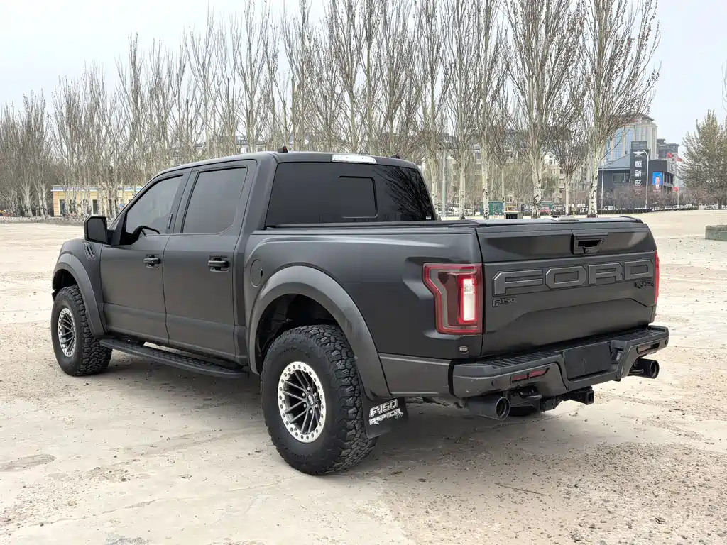 Ford F-150 Raptor 2020 — фото 7