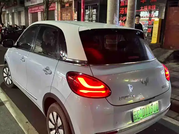 Wuling Bingo 2024