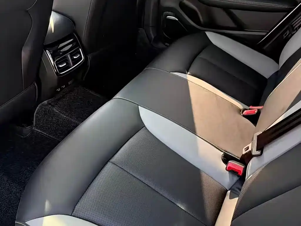 Roewe MAX 2021