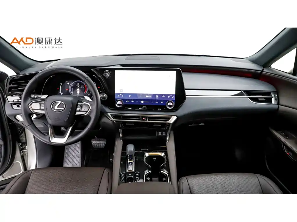 Lexus RX New Energy 2023 — фото 5