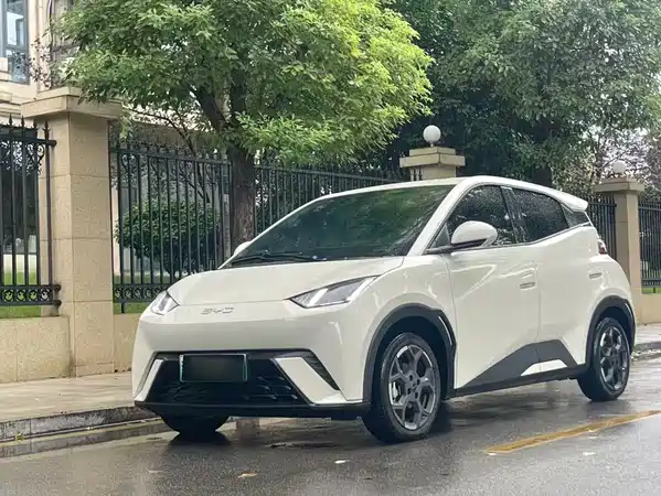 BYD Seagull 2024