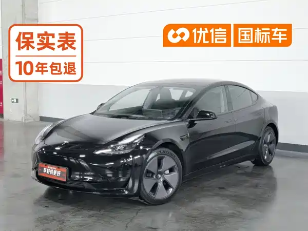 Tesla Model 3 2021