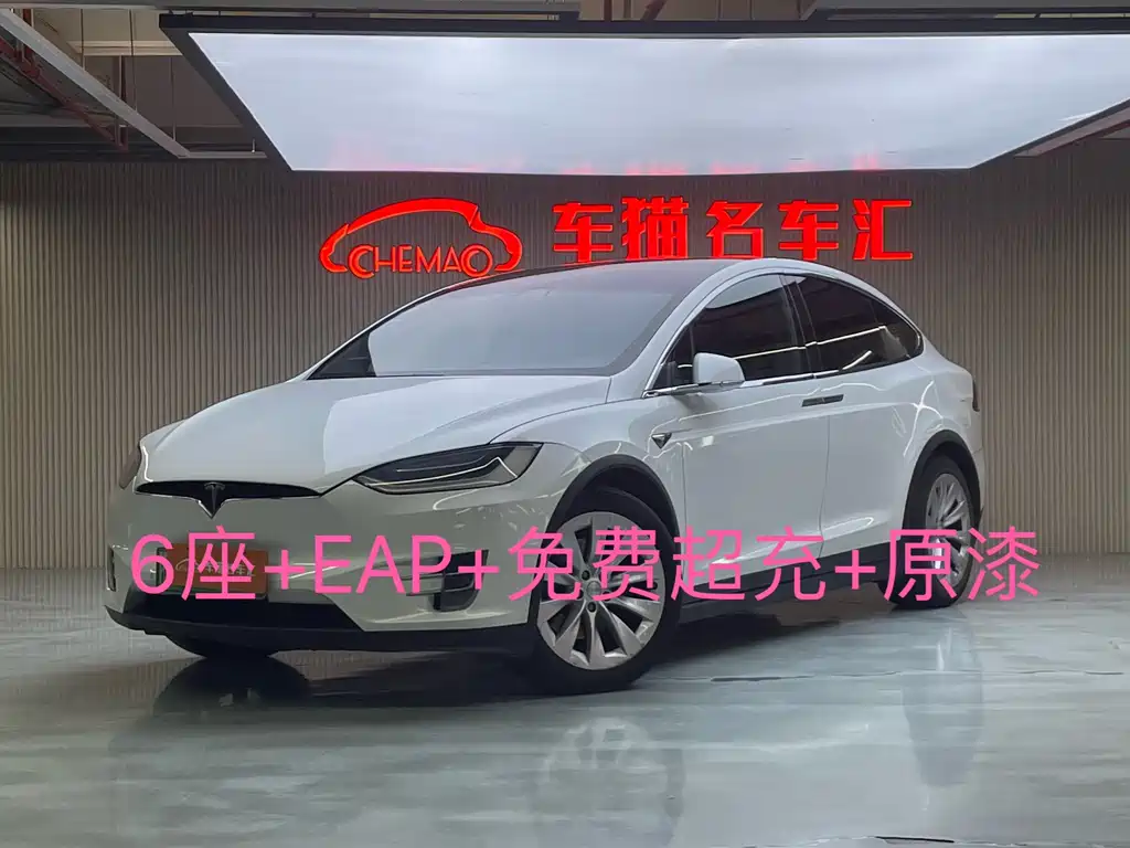 Tesla Model X 2018