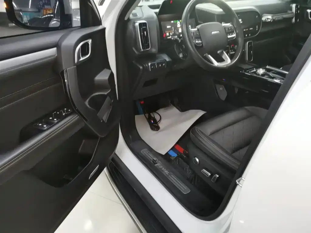 Haval Big Dog 2023 — фото 16