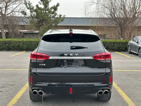 Wey VV6 2020