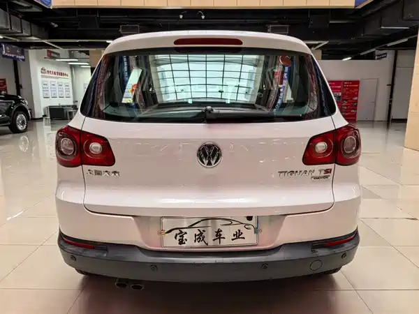 Volkswagen Tiguan 2010