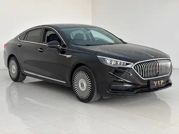Hongqi H5 2020