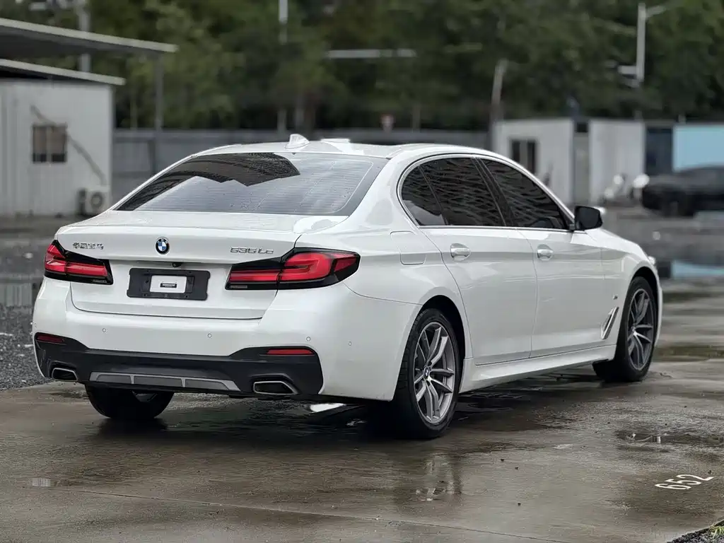 BMW 5 Series New Energy 2020