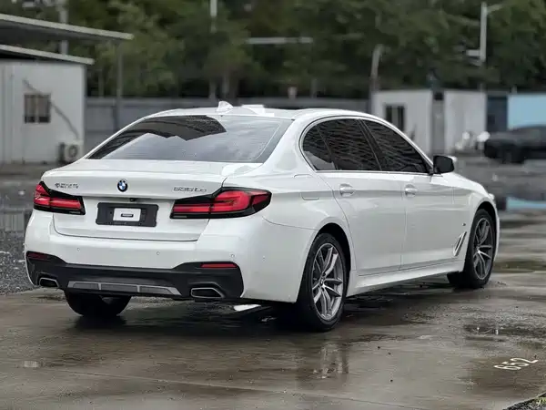 BMW 5 Series New Energy 2020