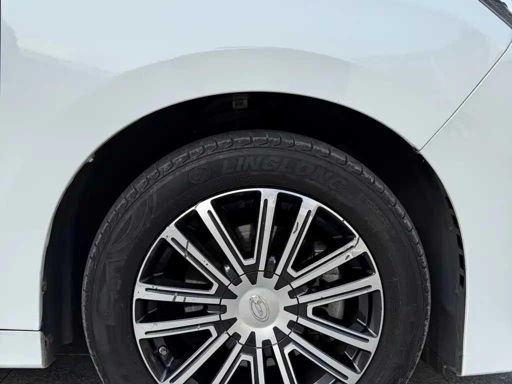 GAC Motor Trumpchi M8 2022 — фото 22