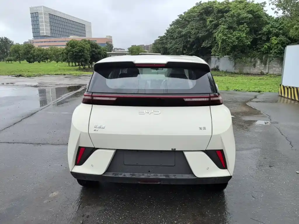 BYD Seagull 2026