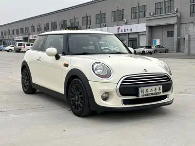 MINI MINI 2017