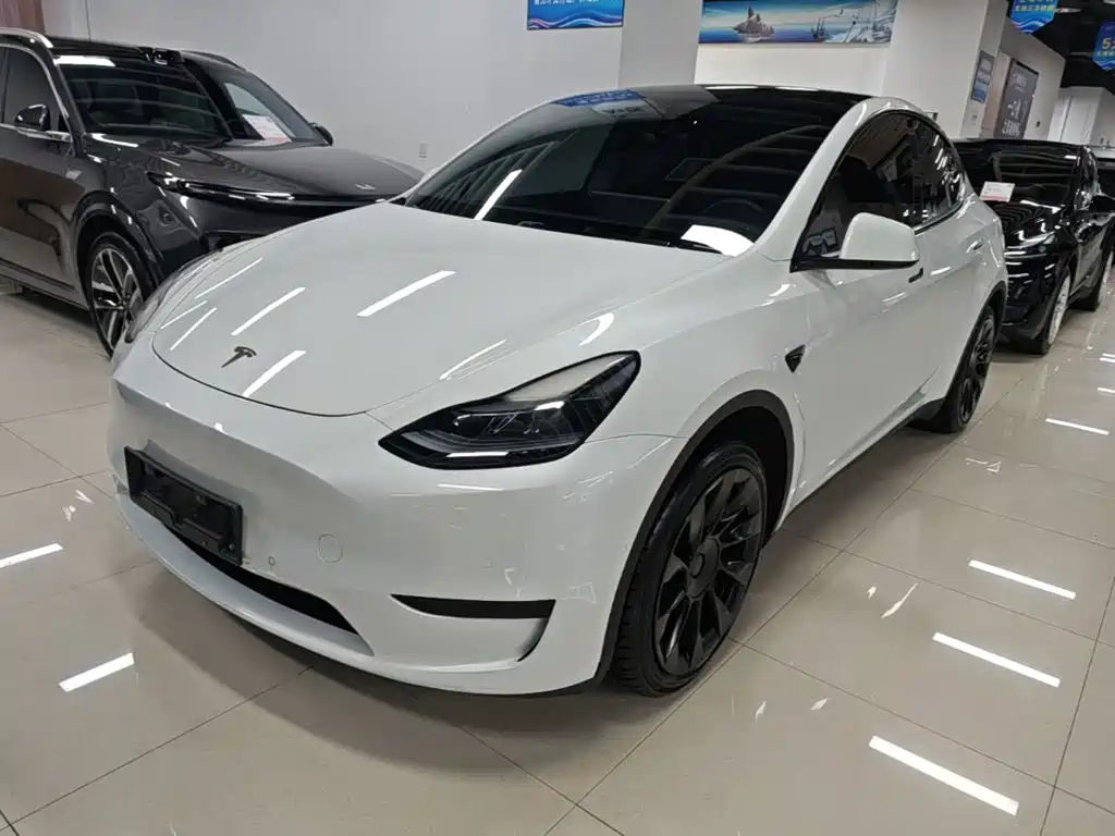 Tesla Model Y 2023 — фото 2
