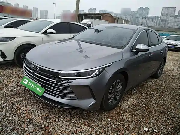 BYD Destroyer 05 2024