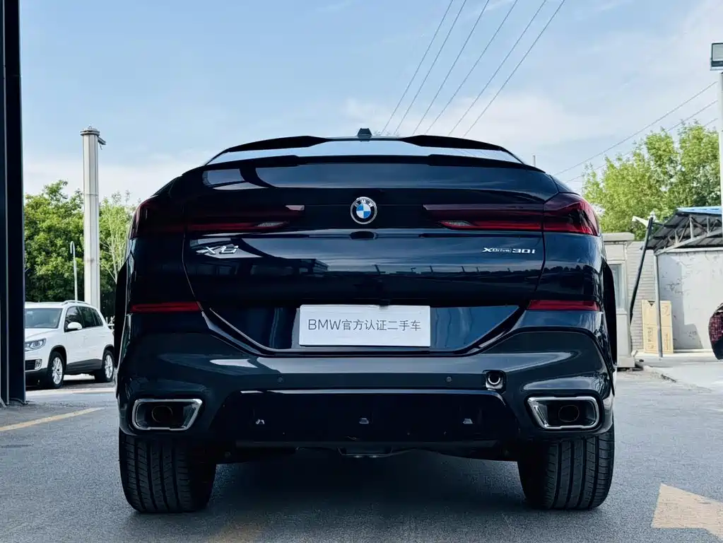BMW X6 — фото 30