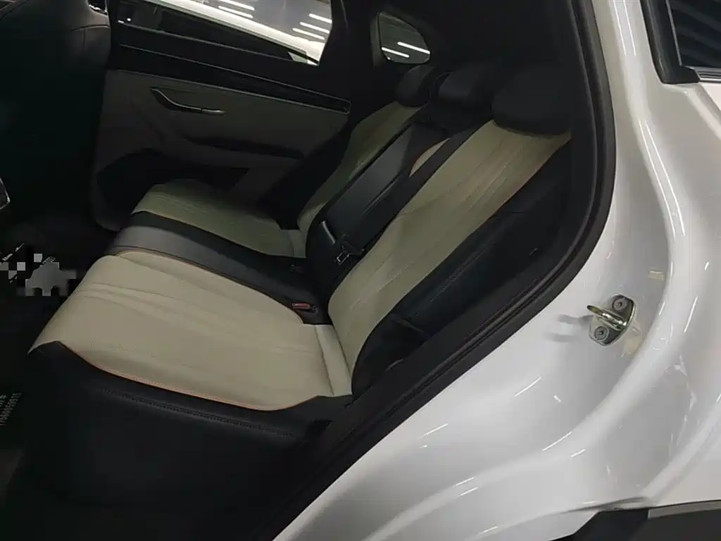 BYD PLUS New Energy 2025 — фото 16
