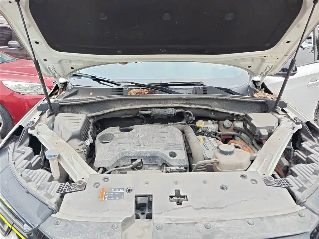 Roewe RX5 New Energy 2021 — фото 20