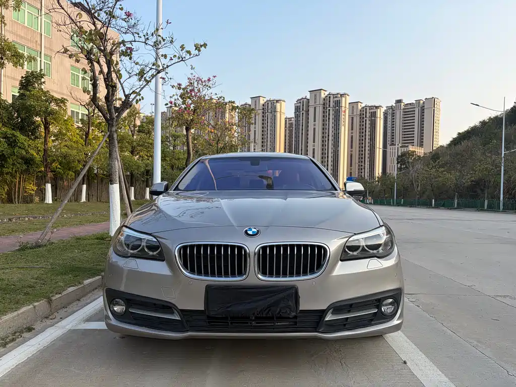 BMW 5 Series 2016 — фото 2