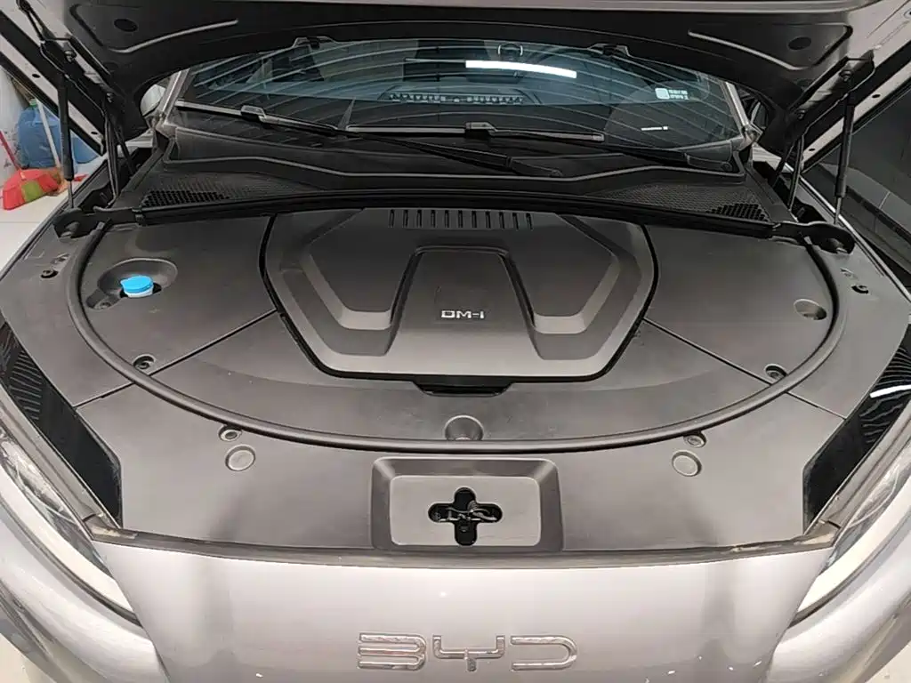 BYD Song PLUS New Energy 2024 — фото 20