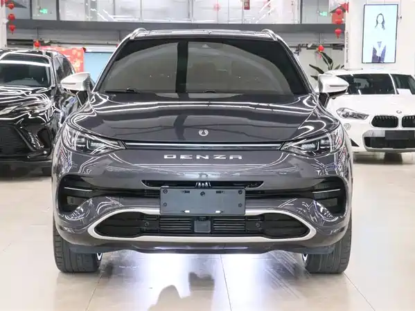 Denza X 2020