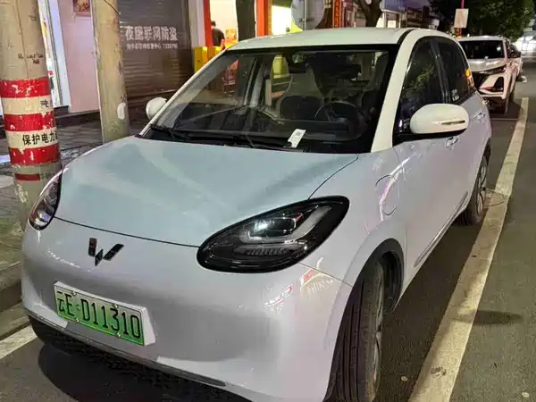 Wuling Bingo 2024