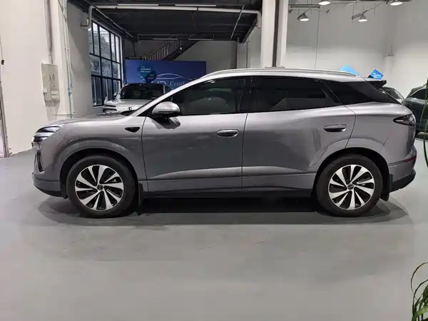 BYD Sealion 06 2026