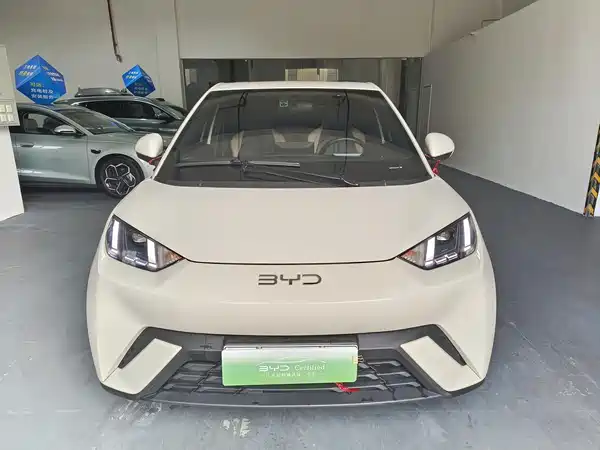 BYD Seagull 2024