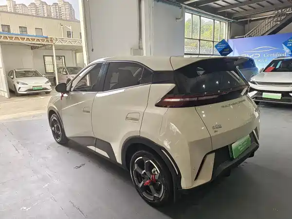BYD Seagull 2024