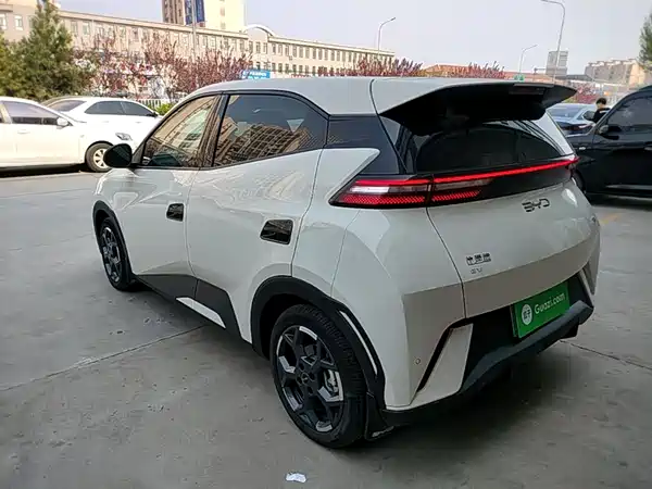 BYD Seagull 2025