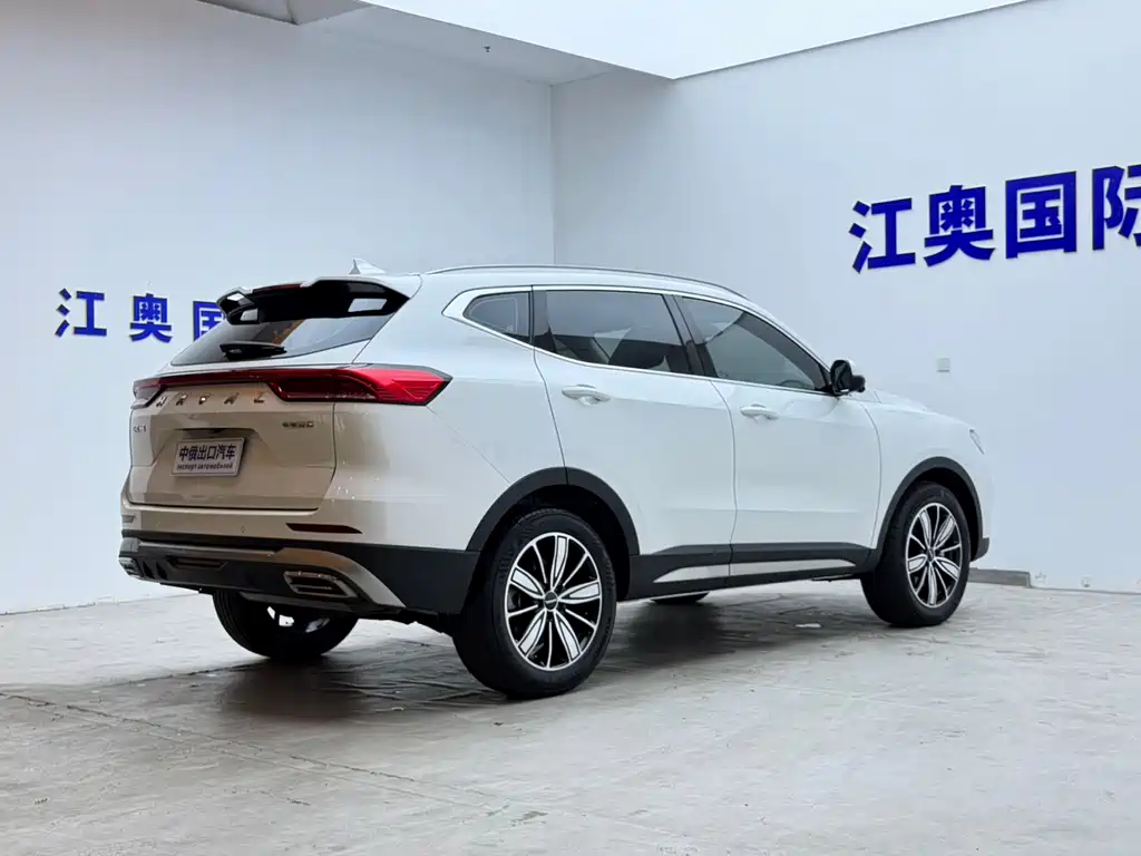 Haval H6 2023 — фото 18