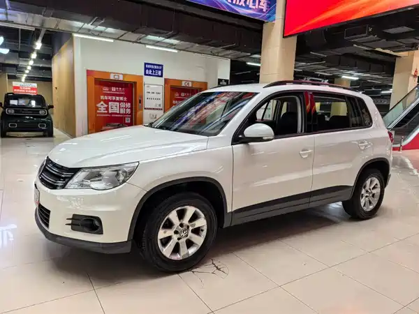 Volkswagen Tiguan 2010