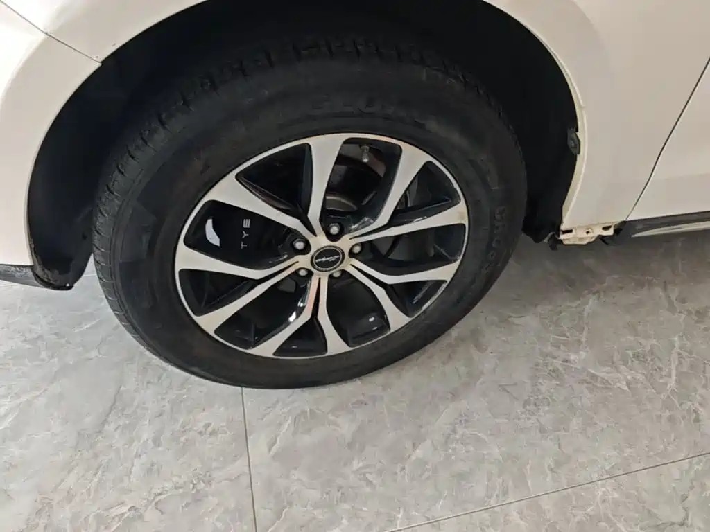 Zotye T600 Coupe 2018 — фото 23