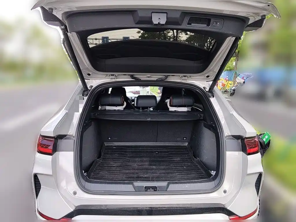 BYD Song PLUS New Energy 2023 — фото 15