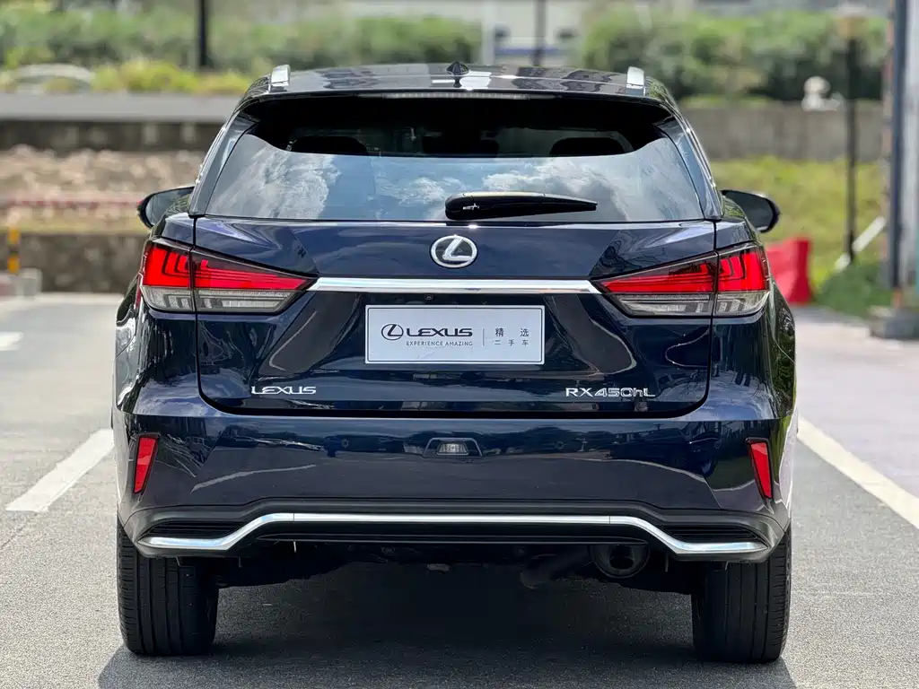 Lexus RX 2019 — фото 18