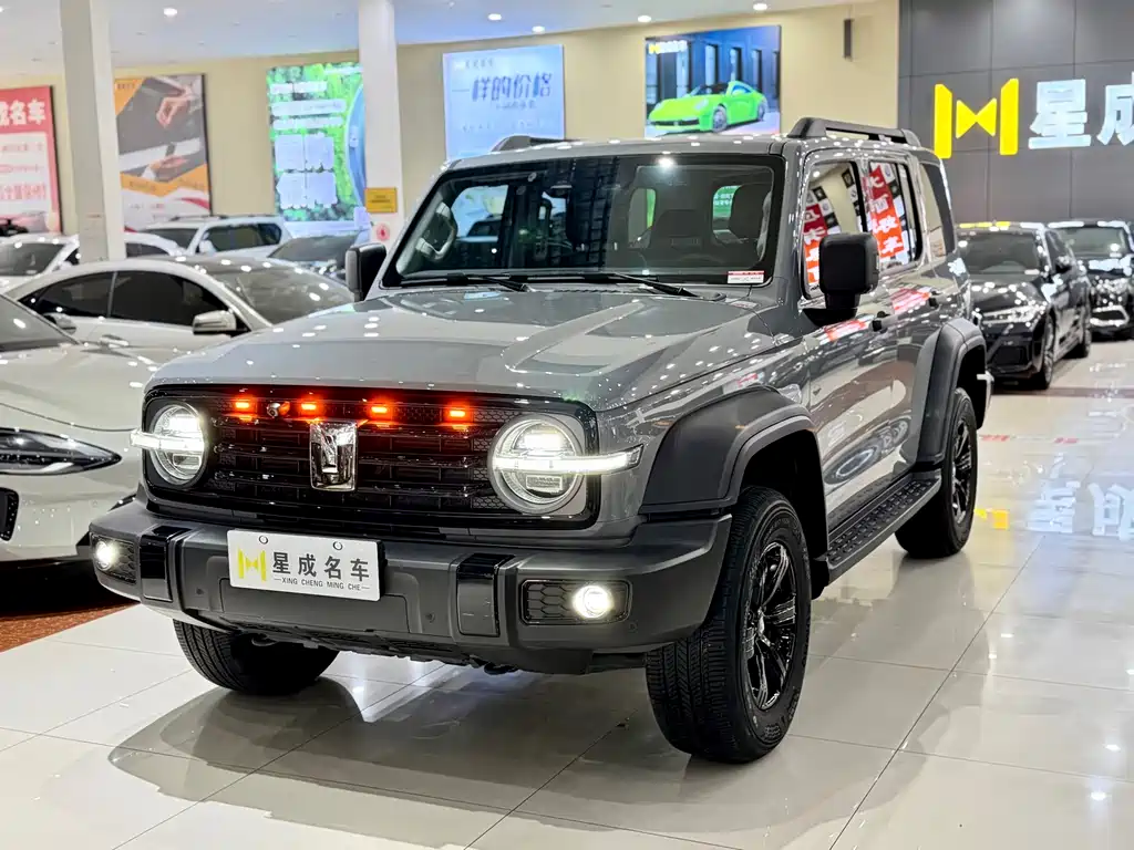 Tank 300 2024