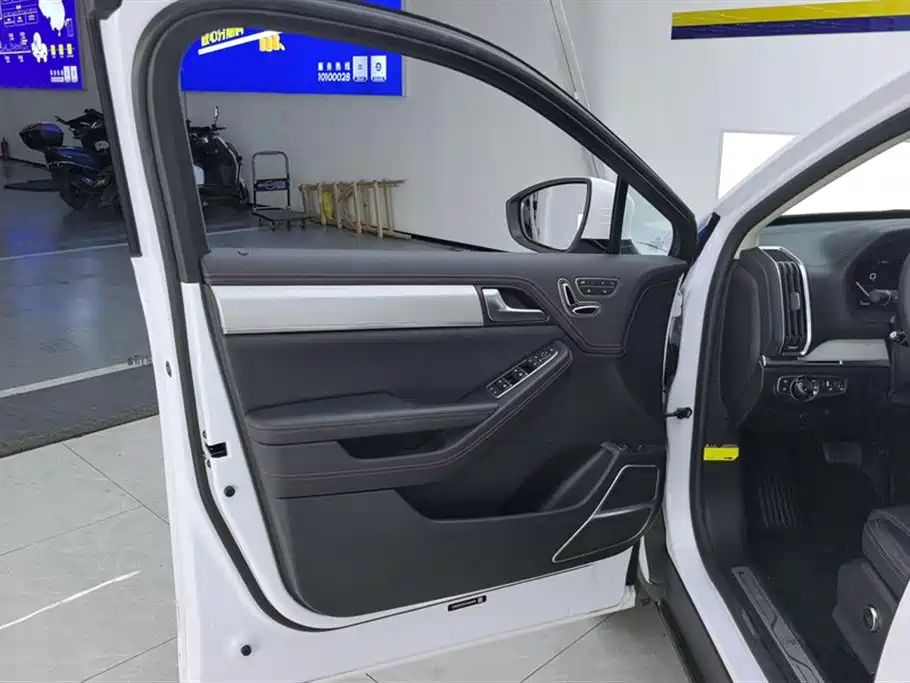 BYD Tang New Energy 2019