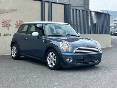 MINI MINI 2010