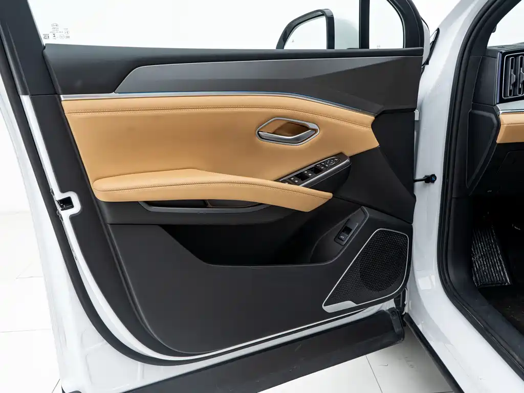 BYD L DM-i 2025 — фото 15