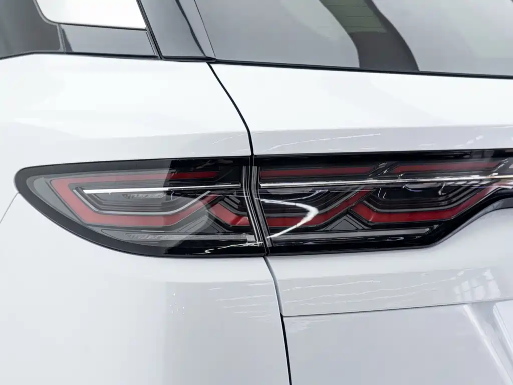 BYD L DM-i 2025 — фото 20
