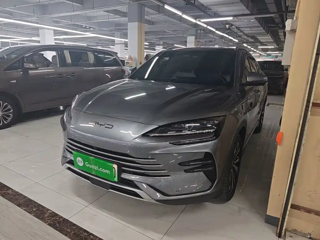 BYD PLUS New Energy 2024 — фото 2